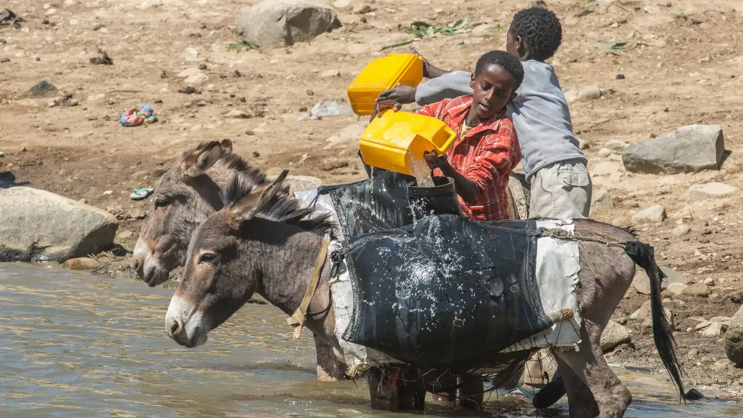 Boys in Eritrea gather water from a stream